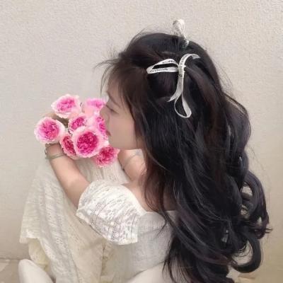 海龟们