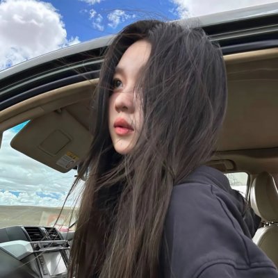 成凰录